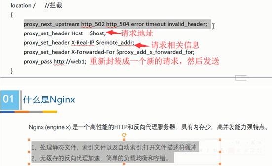 Nginx是什么 一起熟悉nginx配置文件详解_www.itpxw.cn