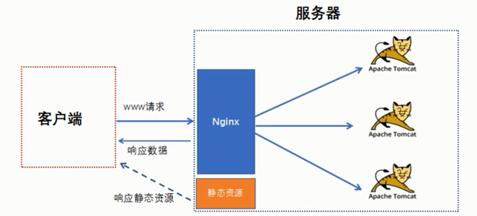 Nginx是什么 一起熟悉nginx配置文件详解_www.itpxw.cn