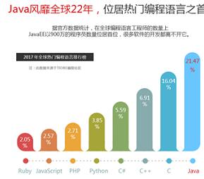 Java编程语言为何会成为程序员的最爱_www.itpxw.cn