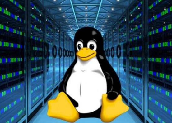 盘点Linux命令之Linux cp命令使用大全_www.itpxw.cn