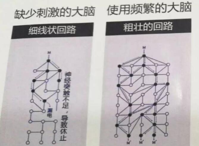 6岁孩子能听懂少儿编程课程吗_www.itpxw.cn