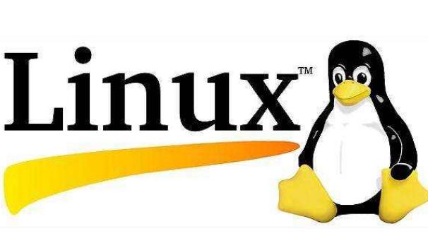 linux常用命令详解 linux基本命令的使用_www.itpxw.cn