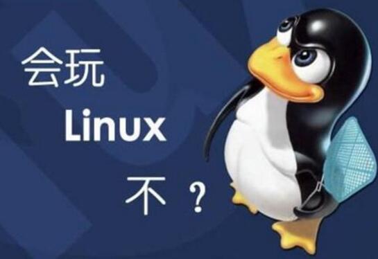 学linux有前途吗 大学生学Linux前途无量_www.itpxw.cn